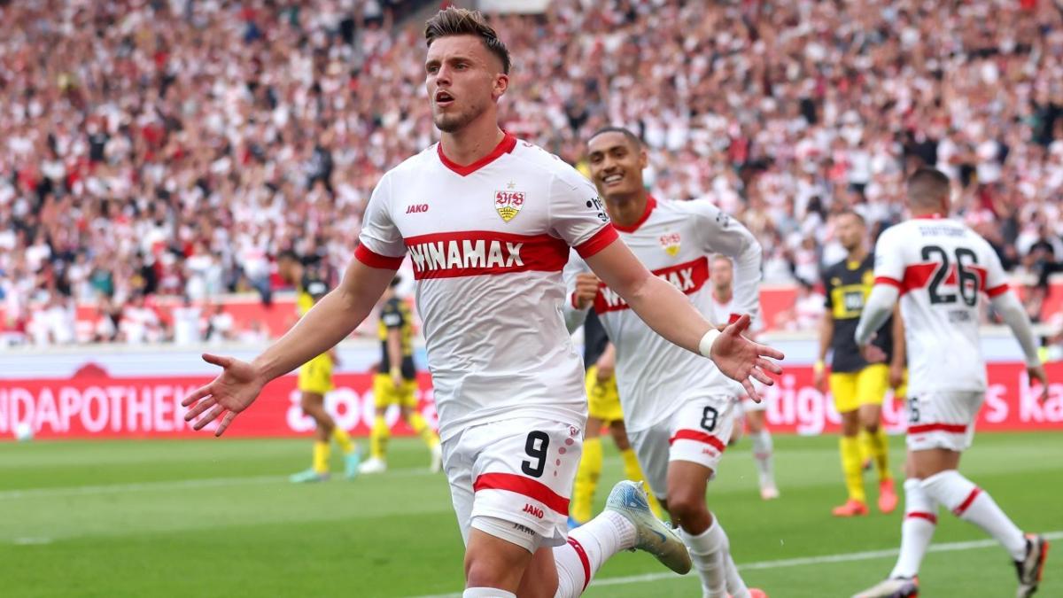 Stuttgart and Bosnia forward Ermedin Demirovic